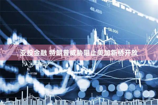 亚投金融 特朗普威胁阻止美加新桥开放